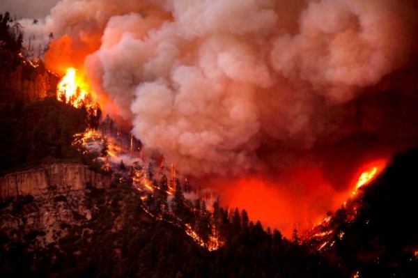 Лесной пожар в Колорадо охватил 3 тыс. га и вышел из-под контроля