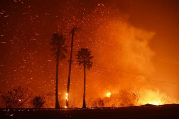Пожары в Калифорнии загрязнили воздух настолько же, сколько год производства энергии 