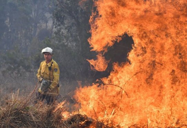 Лесные пожары в Австралии: разрушены или повреждены десятки домов