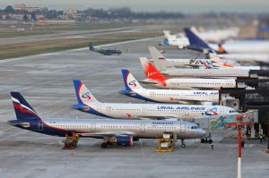 Авиакомпании РФ в сентябре 2019 года увеличили пассажироперевозки на 4%