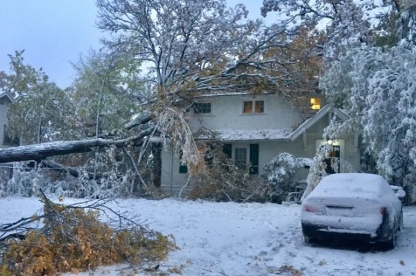 На Манитобу обрушился ранний снегопад: 39 тыс. домов остались без электричества