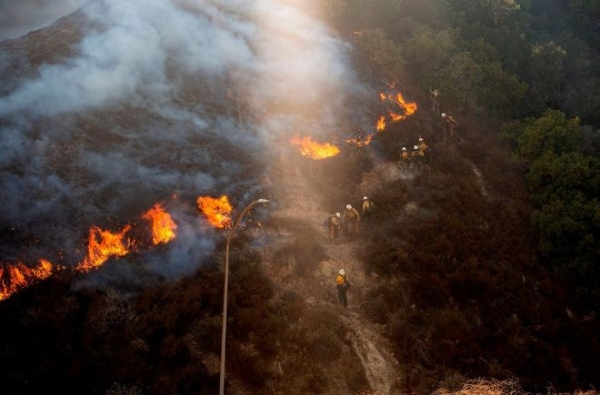 В Калифорнии объявлен красный код опасности: лесной пожар усилился из-за ветра