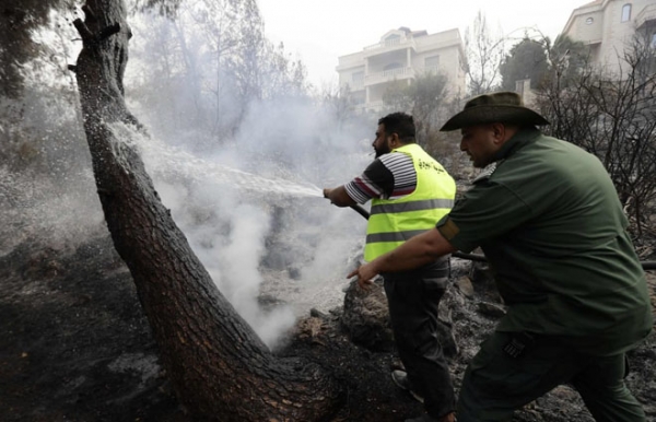 Ливан борется с самыми страшными за последние десятилетия лесными пожарами